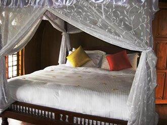 Punnamada Resort, Alleppey 5